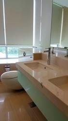 Grange Infinite (D9), Condominium #136324682